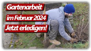 Gartenarbeit Februar  Feigen schneiden Weinreben Gartenplanung Johannisbeeren pflanzen amp düngen [upl. by Yerd]