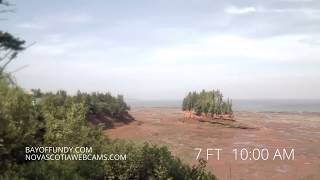 50ft tides in Burntcoat Head Park Nova Scotia [upl. by Eyk]