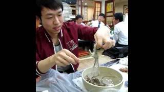 Korean eating living Octopus San Nakji 산낙지 [upl. by Dnomyad261]