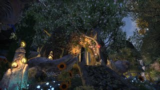 Eso Housing Druid Cottage [upl. by Rasure701]