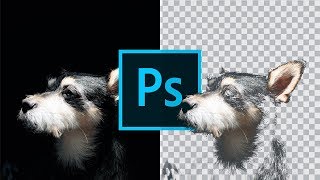 Tutorial Photoshop in Italiano come scontornare FACILMENTE il nero da una foto [upl. by Idyh576]