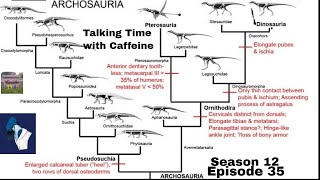 Archosaur Pseudosuchia Pterosauromorpha Talking Time with Caffeine S12 E35 w DoktorDeino [upl. by Swainson715]