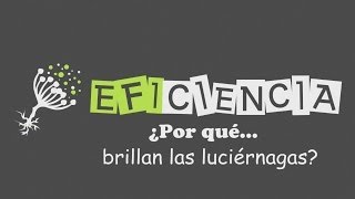 ¿POR QUÉ BRILLAN LAS LUCIÉRNAGAS Cortejo y Bioluminiscencia Luciferina [upl. by Llerad]