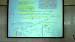 CARDIAC PHYSIOLOGY PART 2 by Professor Finkwmv [upl. by Uhthna]