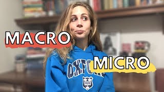 MICROeconomia e MACROeconomia conceito diferenças resumo e exemplos I Economia Descomplicada [upl. by Tobey]