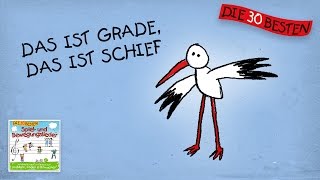 Das ist grade das ist schief  Die besten Spiel  und Bewegungslieder  Kinderlieder [upl. by Ecirb]