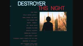 Destroyer  I Have Seen A Light [upl. by Anev]