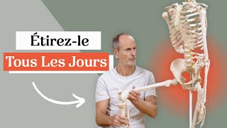 Ce muscle est tellement important  étirezle tous les jours [upl. by Ehlke]