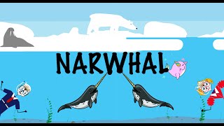 The narwhal song  Songs for kids  Aquatic animals for kids  Learn about narwhals [upl. by Nylirehc]