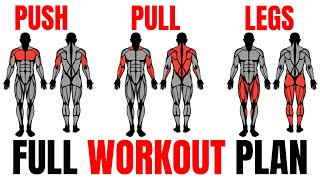 The Smartest Push Pull Legs Routine Fully Explained💪 [upl. by Nahtnahoj]