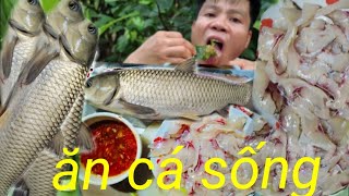 Thử thách ăn cá sốngraw fish eating challengecá cuốn lá xung cực ngon ăn cực xung [upl. by Chaunce]