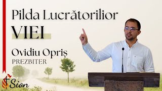 Sion Live 18082024 AM  Pilda Lucrătorilior VIEI [upl. by Ennaylloh]