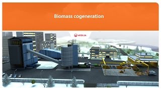 Cogeneration biomass  Veolia [upl. by Nofpets835]