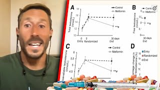 Paul Saladino On The New Controversial Metformin Study And Diabetes [upl. by Derf]