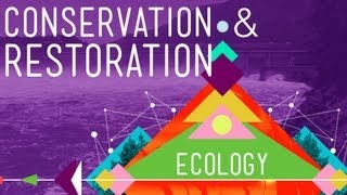 Conservation and Restoration Ecology Crash Course Ecology 12 [upl. by Claire1]