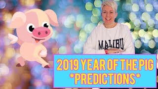 The year of the PIG 2019 Chinese animal horoscope for the year 2019 [upl. by Weaks893]