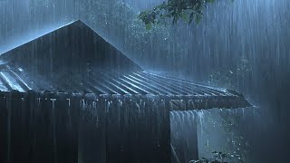 Overcome Stress to Sleep Instantly with Heavy Rain amp Paramount Thunder Sounds on a Tin Roof at Night [upl. by Newlin]