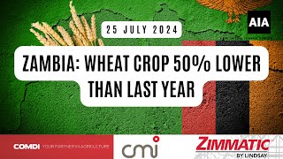 Zambia Wheat Crop 50 Lower Than Last Year  22 Julie 2024 Africa [upl. by Jorie]