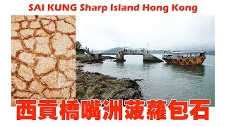 香港 西贡桥嘴洲 菠萝包石 SAI KUNG Sharp Island Hong Kong [upl. by Einna111]