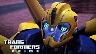 Transformers Prime  Bee Trap  Transformers Official [upl. by Adnahsed]