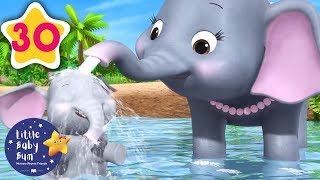 5 Elephants Having A Wash  30 Minutes of Nursery Rhymes  Learn With LBB  howto [upl. by Saucy928]