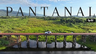 Pantanal Ep02  Safari selvagem e a cidade histórica de Corumbá [upl. by Eustasius525]