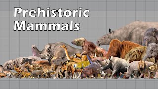 Size Comparison of Animals the Prehistoric Mammals [upl. by Nnaeitak]