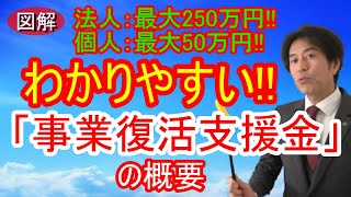 事業復活支援金の【概要】を図解でわかりやすく解説！法人最大250万円！個人最大50万円！ [upl. by Herodias429]