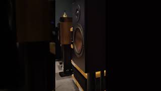 DALI OPTICON 2 MK2  DRIVER BEHAVIOUR  SANTANA  NUEVA YORK  INSTRUMENTAL [upl. by Richela]