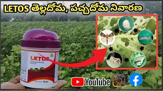 LETOS తెల్లదోమ పచ్చదోమ నివారణclothianidin 50wg insecticide telugu [upl. by Brannon315]