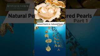 Natural vs Cultured Pearls What’s the Difference [upl. by Nabetse318]