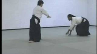 Advanced Aikido Techniques Part 2 [upl. by Okia223]