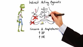 Pharmacology  ADRENERGIC RECEPTORS amp AGONISTS MADE EASY [upl. by Byron544]