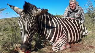 Hunting Gemsbok Impala Zebra amp White Blesbok [upl. by Hamlin]