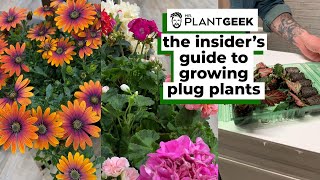 The insiders guide to growing plug plants  Mr Plant Geek [upl. by Elleinnad691]