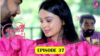 Adaree Geethayak  EPISODE 37  ආදරේ ගීතයක්  23th May 2024 [upl. by Andrew]