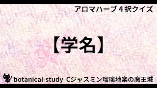 00495【学名】『センブリ』の学名【アロマハーブ４択クイズ】 [upl. by Acenes]