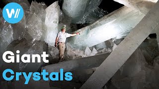 Crystal Palace hidden beneath the Mexican desert  The Mystery of the Giant Crystals [upl. by Samuela]