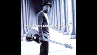 Marcus Miller  Interlude Nocturnal Mist  Revelation [upl. by Ecarg]