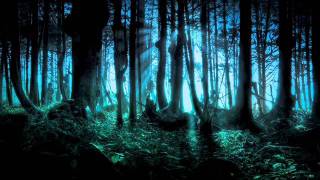 Frederic Chopin  Mysterious Forest [upl. by Adahs]