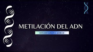 ✅ Metilación del ADN  Biología Molecular 🧬 [upl. by Ainitsirk]