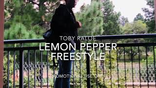 Drake feat Rick RossLemon pepper freestyle by Toby Raloe [upl. by Morrell512]