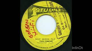 …HORTENSE ELLIS  Why Birds Fly STUDIO 1 45 [upl. by Sayce579]