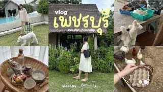 เพชรบุรี vlog พักฟาร์มสเตย์สุดมินิมอล 2 วัน 1 คืน เก็บไข่ ให้อาหารเป็ด PetFriendly  KARNMAY [upl. by Nillor]