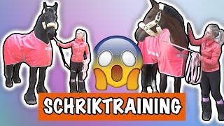 SCHRIK TRAINING MET EVE EN VITO  PaardenpraatTV [upl. by Eagle]