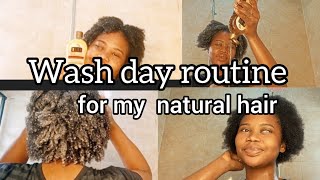 The Best Natural Hair Wash Day Routine You Need Fast Hair Growth beginners guide maybellseries [upl. by Amias686]