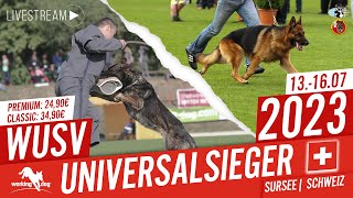 LivestreamTrailer  WUSV WM Universal 2023  workingdog [upl. by Ellenrahs452]