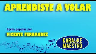 Aprendiste A Volar  Vicente Fernandez [upl. by Mera585]