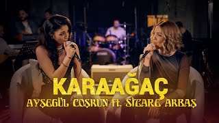 Ayşegül Coşkun ft Sitare Akbaş  KARAAĞAÇ Akustik [upl. by Susanetta]