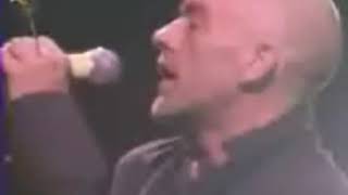 REM Rock Werchter 2003 06 29 [upl. by Beberg]